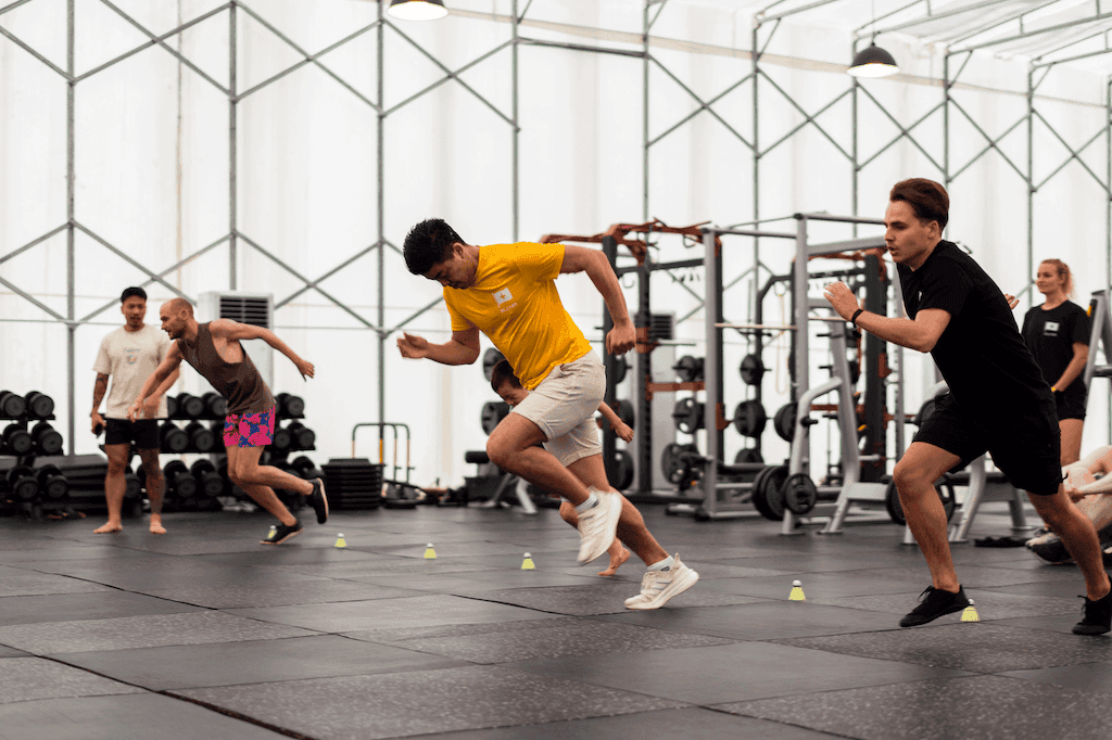 Gym & Personal Trainer